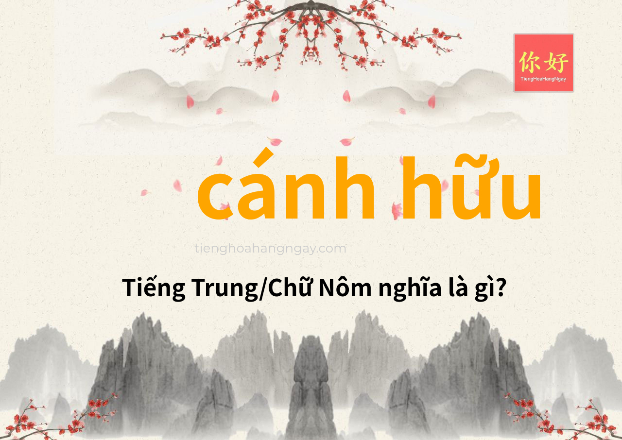cánh hữu tiếng Trung là gì?